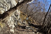 30 'Campo base' per arrampicate in falesia 'Lucertole'
